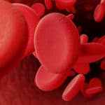 A Scientific Update on Therapeutic Agents for the Reversal of Oral Anticoagulants