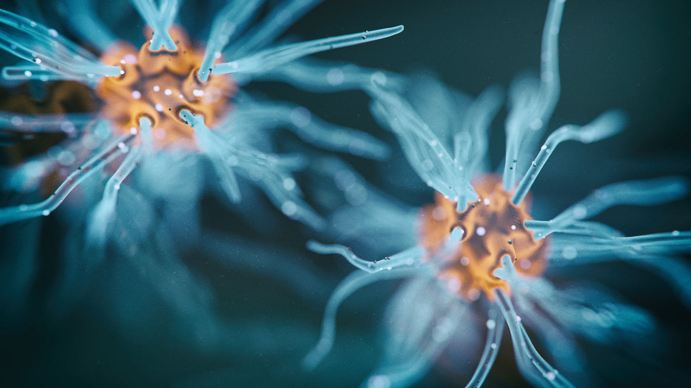 Neuron cells